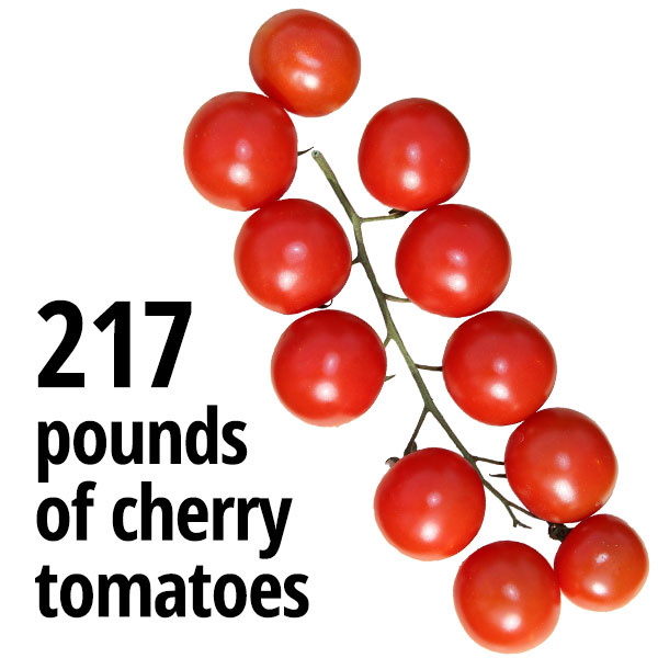 217 pounds of cherry tomatoes
