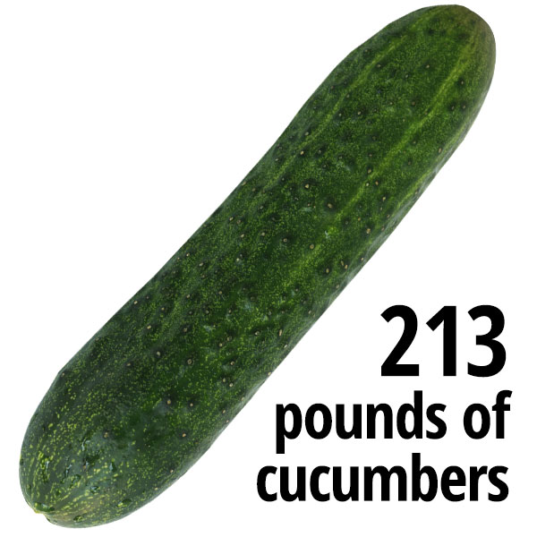 213 pounds of cucumbers