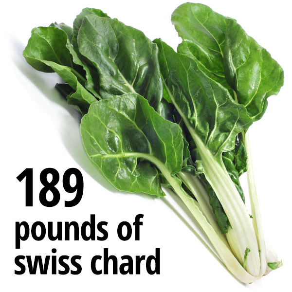 189 pounds of swiss chard